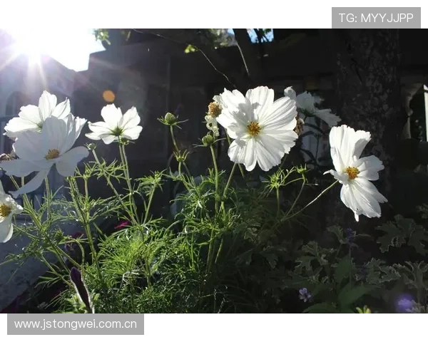 她花25年记录人们对钱和物质的追求，拿下了巴黎摄影奖 – 星空游戏网